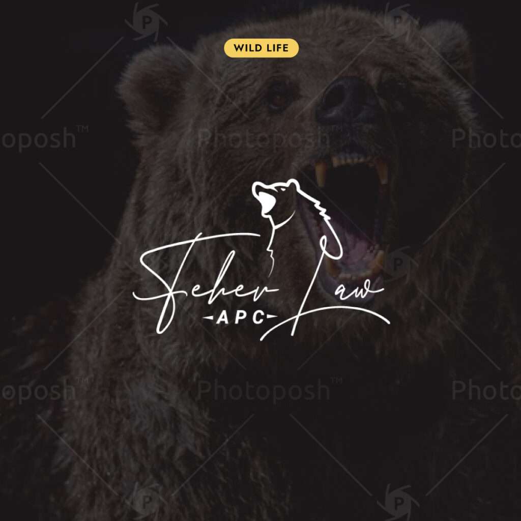 bear  Photography Logo