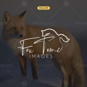Fox Wildlife Photography Logo