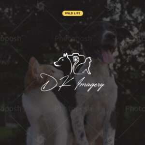 Cats Dogs Photography logo