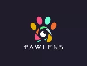 minimalist logo design