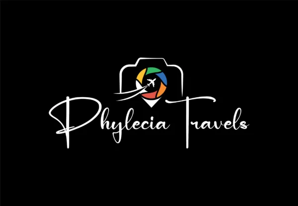 Signature plane travel photography logo design featuring a sleek airplane and camera shutter silhouette